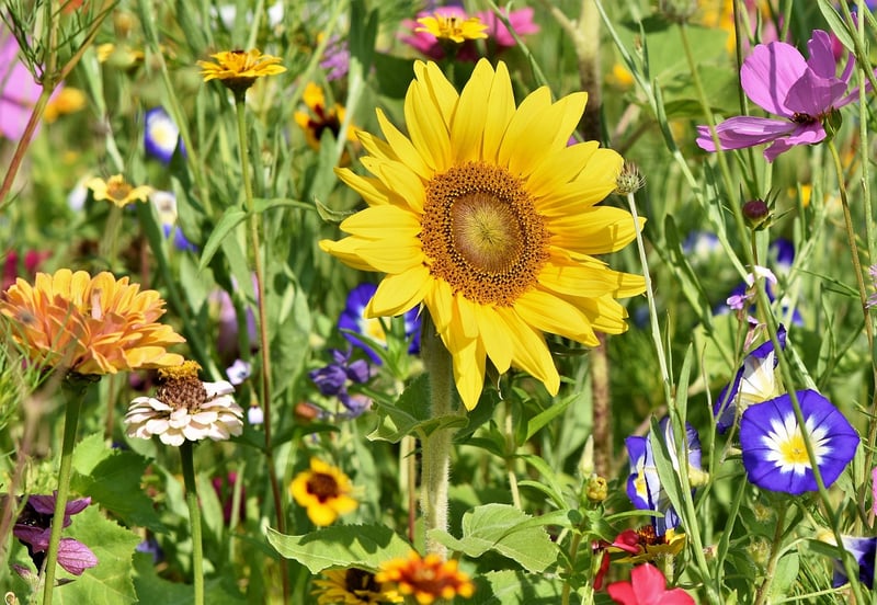 Gardening Group